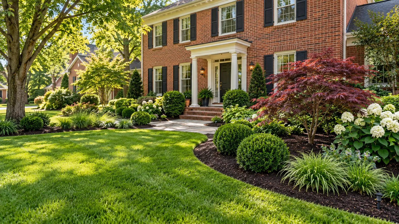 Front yard landscaping with mulched beds, boxwoods, hydrangeas, and a Japanese maple at a brick colonial in Silver Spring, MD by SiteDoctorMD